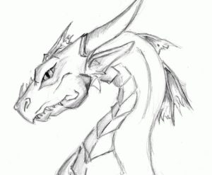 Image of an upper part of a lean looking dragon with horns